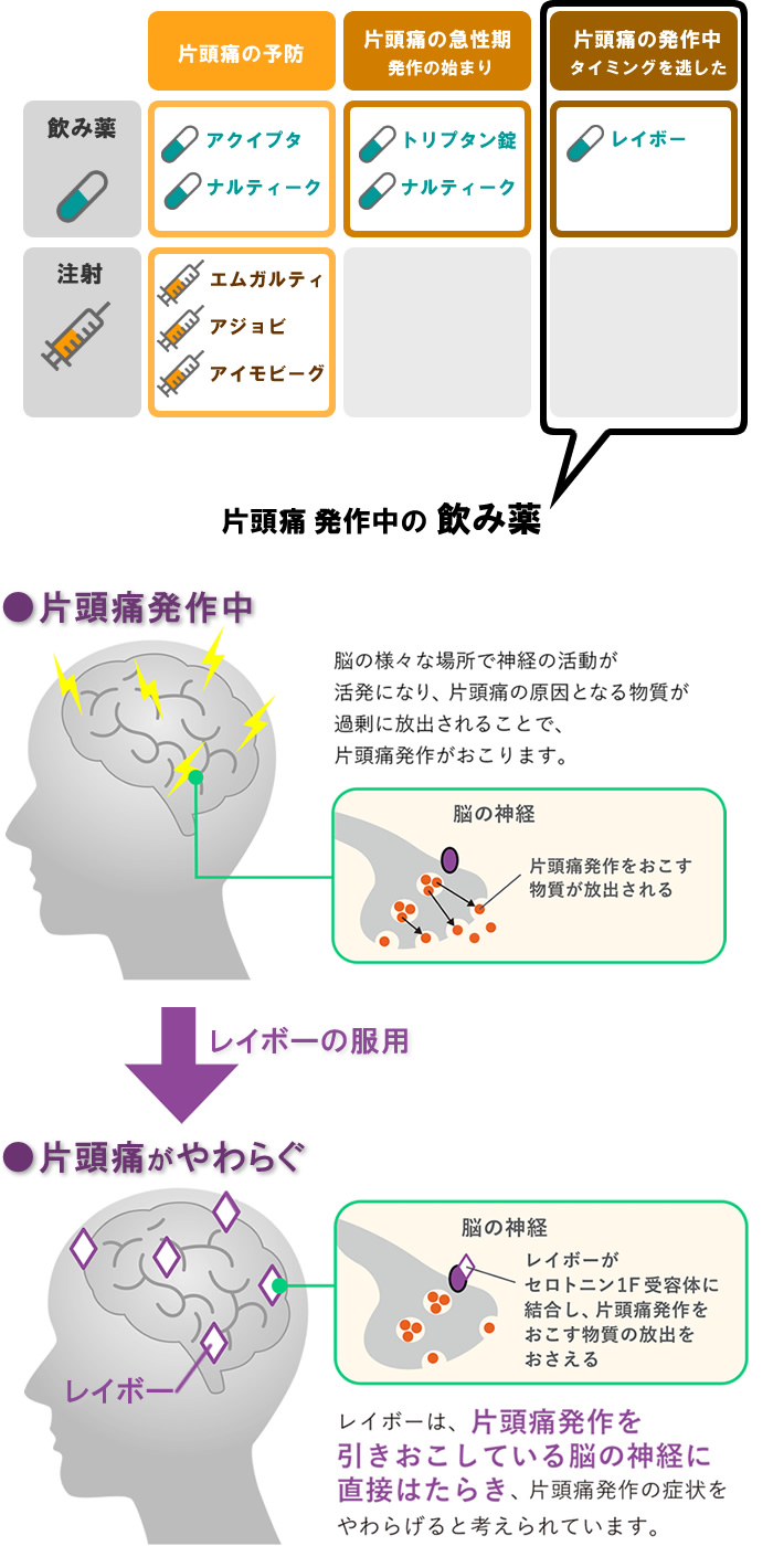 片頭痛だけに効く痛み止めレイボーのしくみの図解
