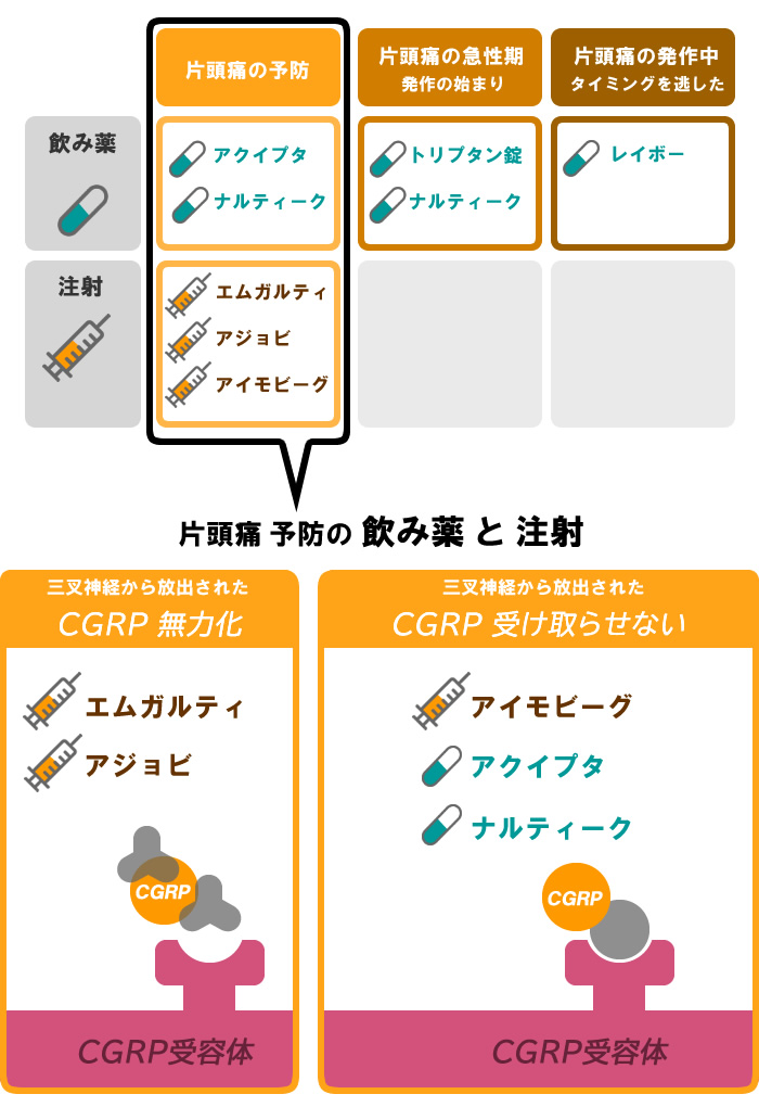 放出したCGRPを無力化するエムガルティ、アジョビ、アイモビーグと、放出したCGRPを受け取らせないアクイプタ、ナルティークのしくみの図解